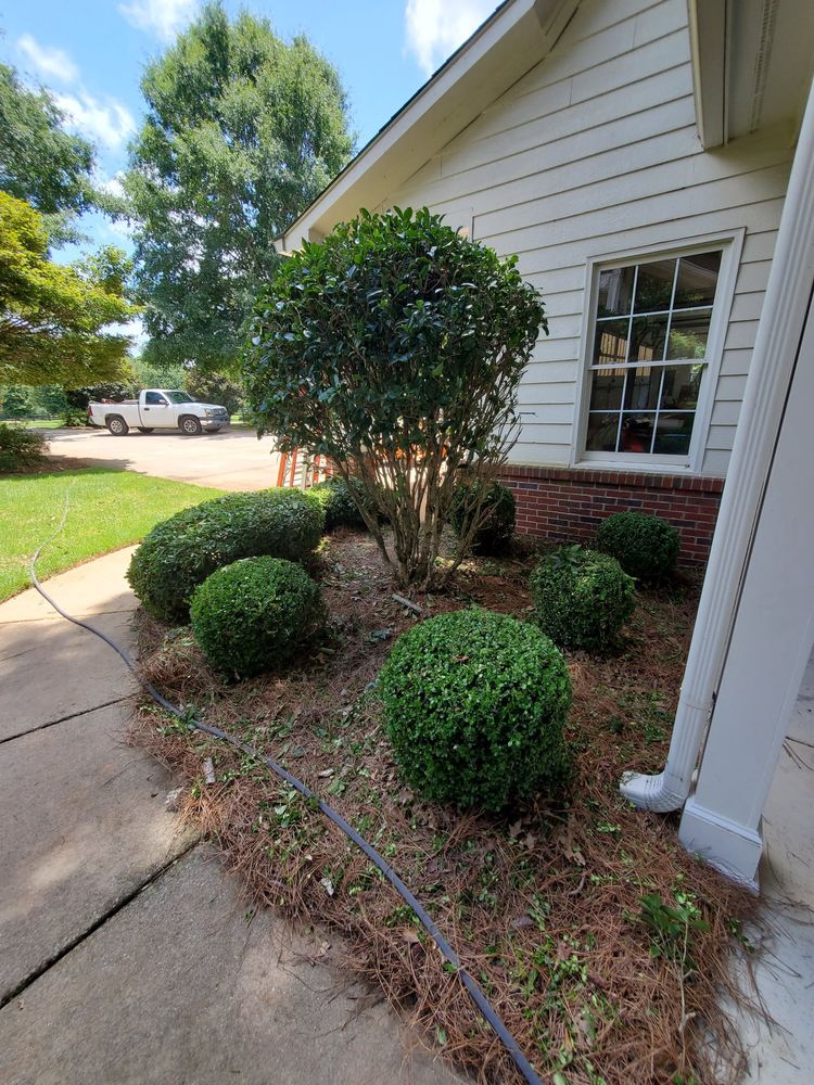 Mulch Installation for Zambrana Landscaping in Cobb County, GA