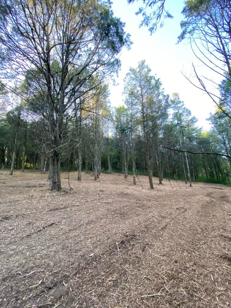 All Photos for Green Land Management in Mount Pleasant, TN