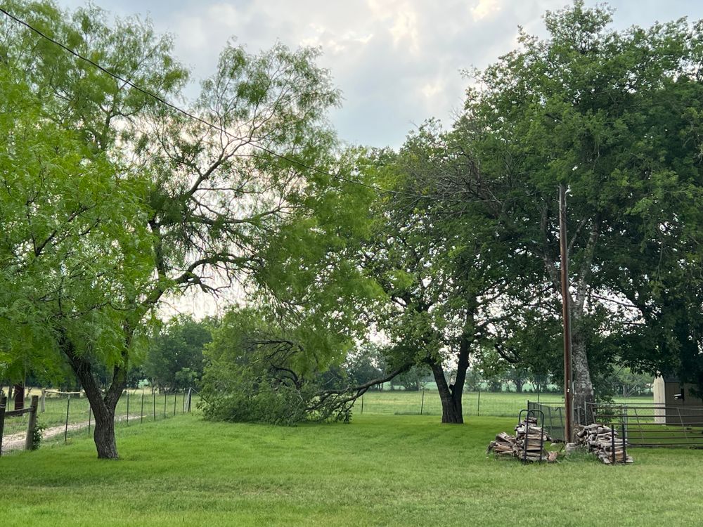 All Photos for DR Landscape in San Antonio, TX