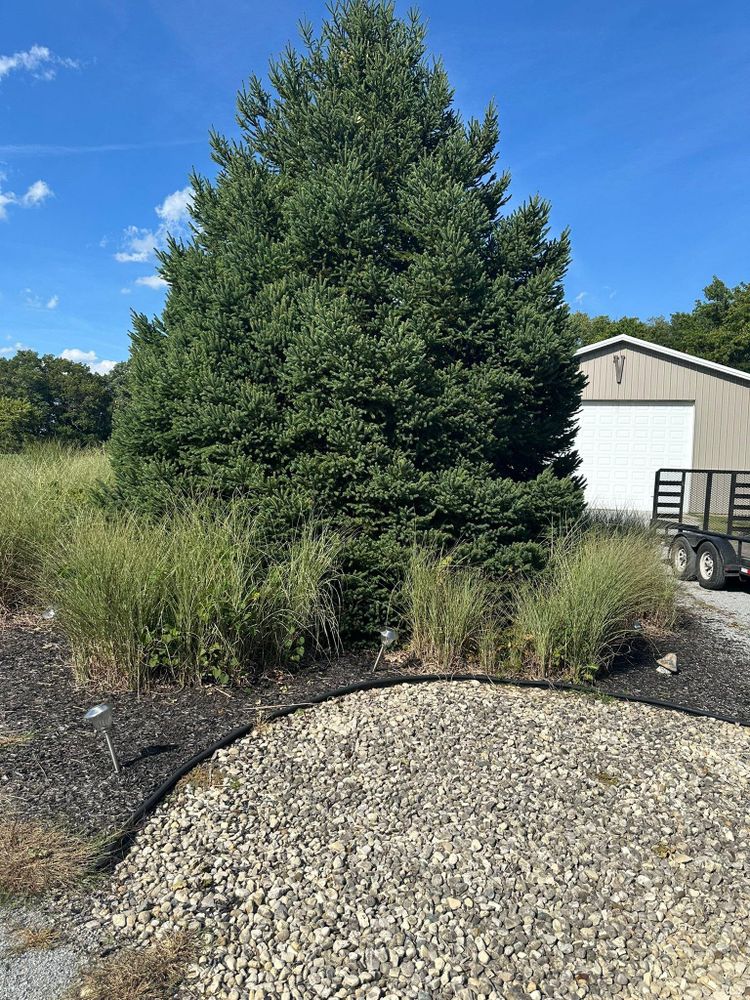 All Photos for OT Lawn and Landscaping LLC in Carey, OH