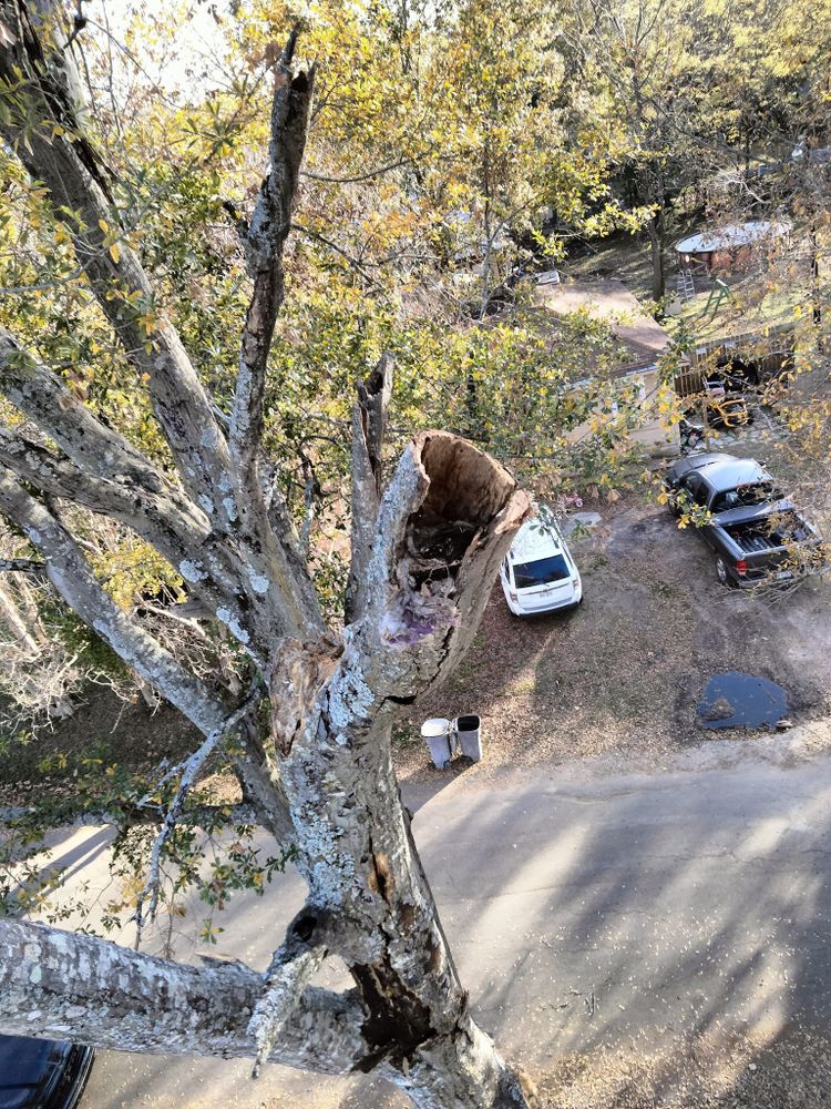 Tree Removal for J&S Tree Services  in Quitman,  TX