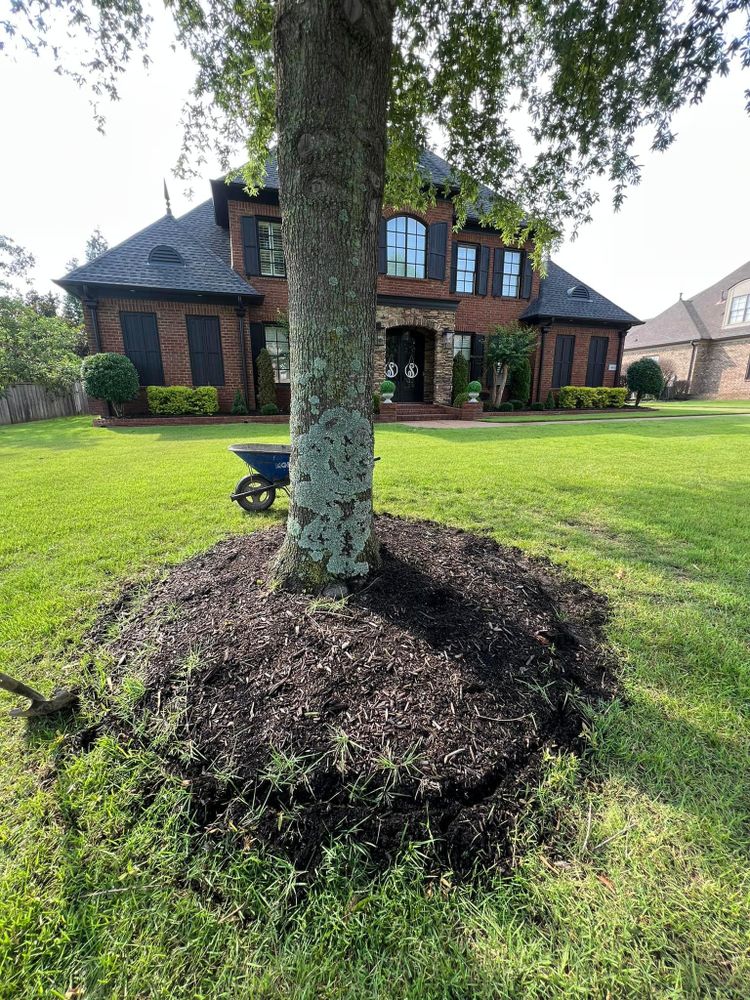 All Photos for Sanchez Z. Landscaping in Memphis, TN