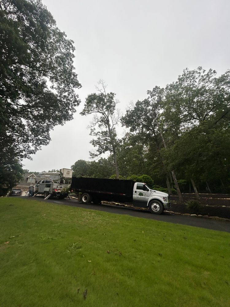 All Photos for Chipper's Tree Service  in Fort Payne, AL
