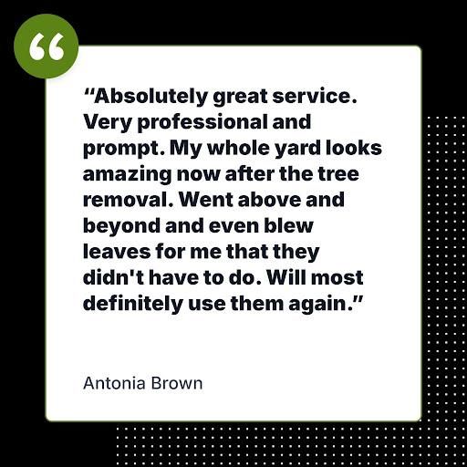 All Photos for Tucker's Tree Service and Stump Grinding in Lugoff, SC