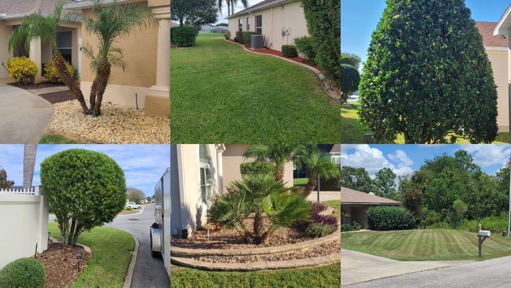 All Photos for TopNotch Landscaping Services  in The Villages, FL