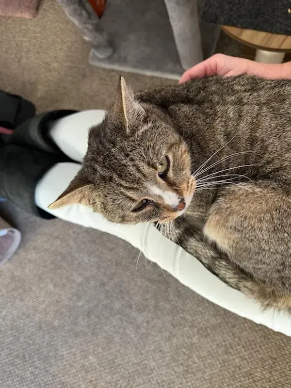 All Photos for Sullivan Sanctuary of Maine in Brunswick, ME