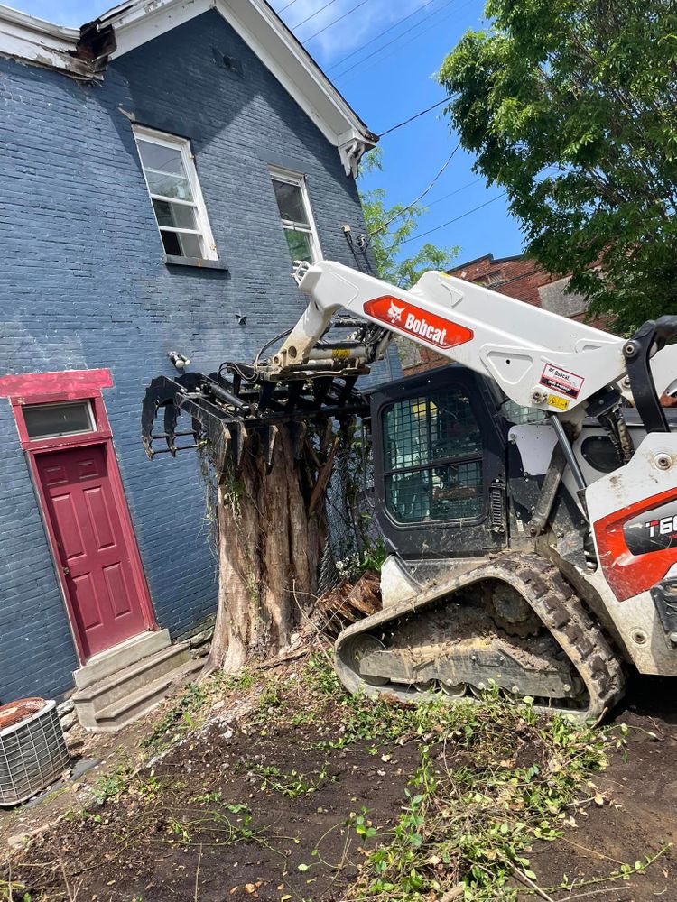 Our professional stump grinding and removal service efficiently eliminates unsightly tree stumps from your property, enhancing the aesthetics of your landscape and ensuring a smooth surface for future landscaping projects. for Patterson Excavation in Dry Ridge, KY