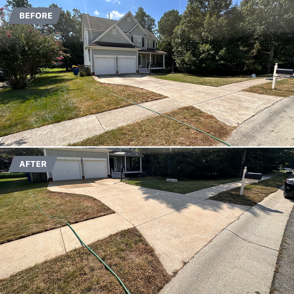 All Photos for LeafTide Solutions in Richmond, VA