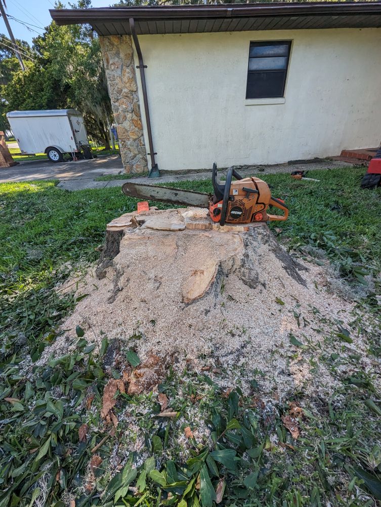 All Photos for Regal Tree Service and Stump Grinding in Wauchula, FL