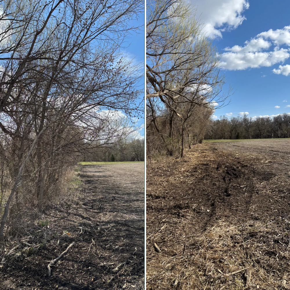 All Photos for Root Land Management in Watkins, MN