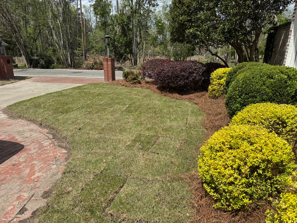 All Photos for South GA Land Development in Hazlehurst, GA