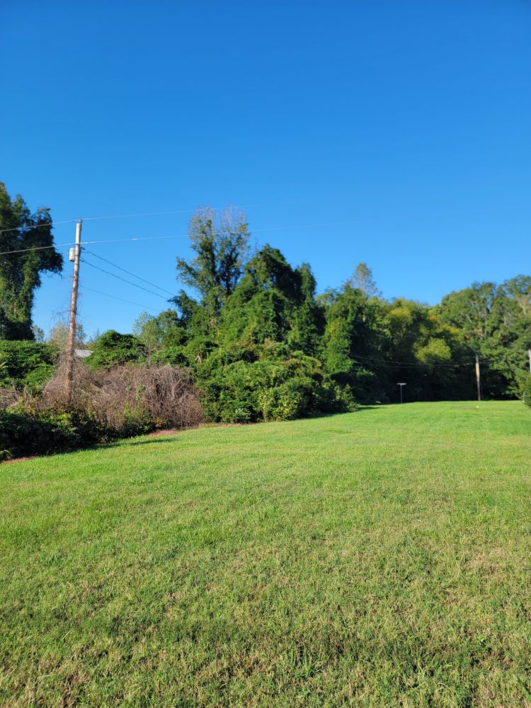 All Photos for Z's Land Management & Forestry Mulching in Smithville, TN