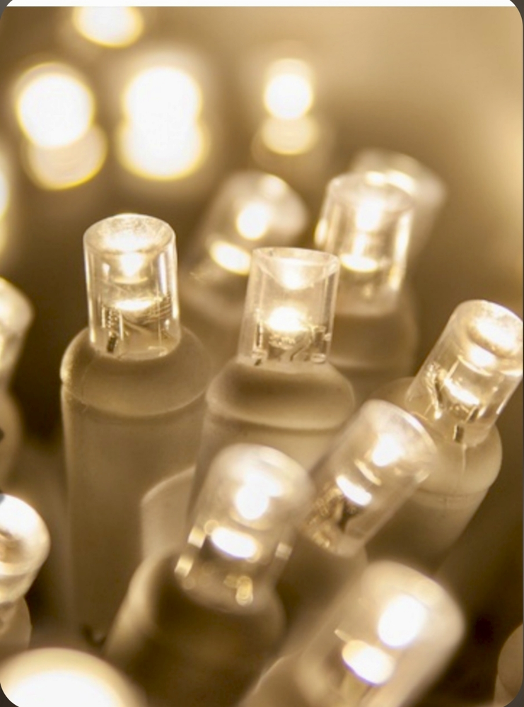 Lighting for Wheelhouse Irrigation and lighting in Charleston, South Carolina