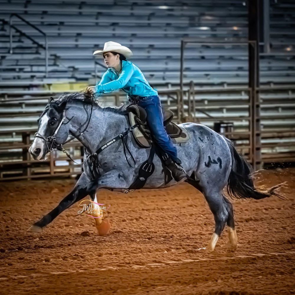 All Photos for Florida Native Equestrian Development in Central Florida, FL