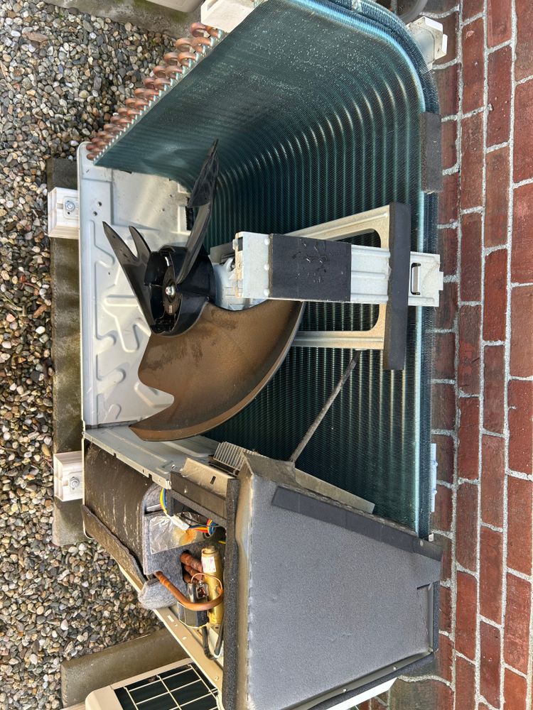 All Photos for ZHI Services in Hadley, MA