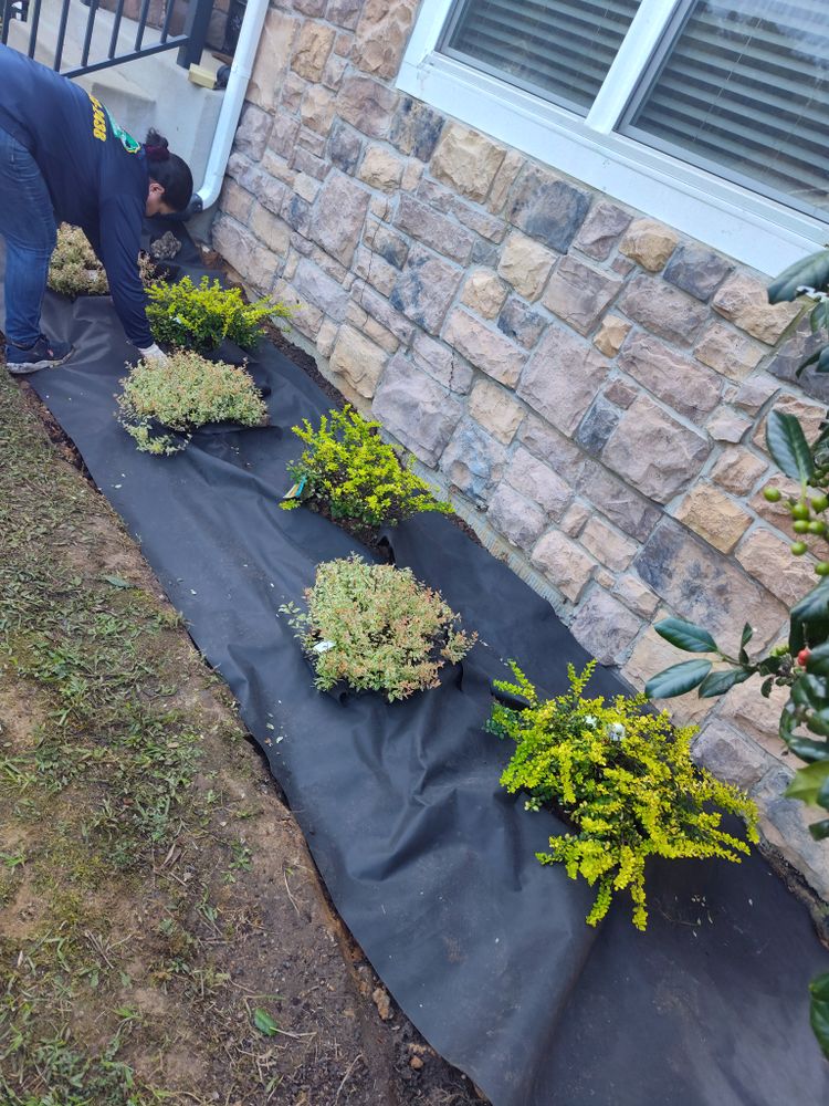 Fall Clean Up for Noel Velazquez Landscaping  in Williamsburg, VA