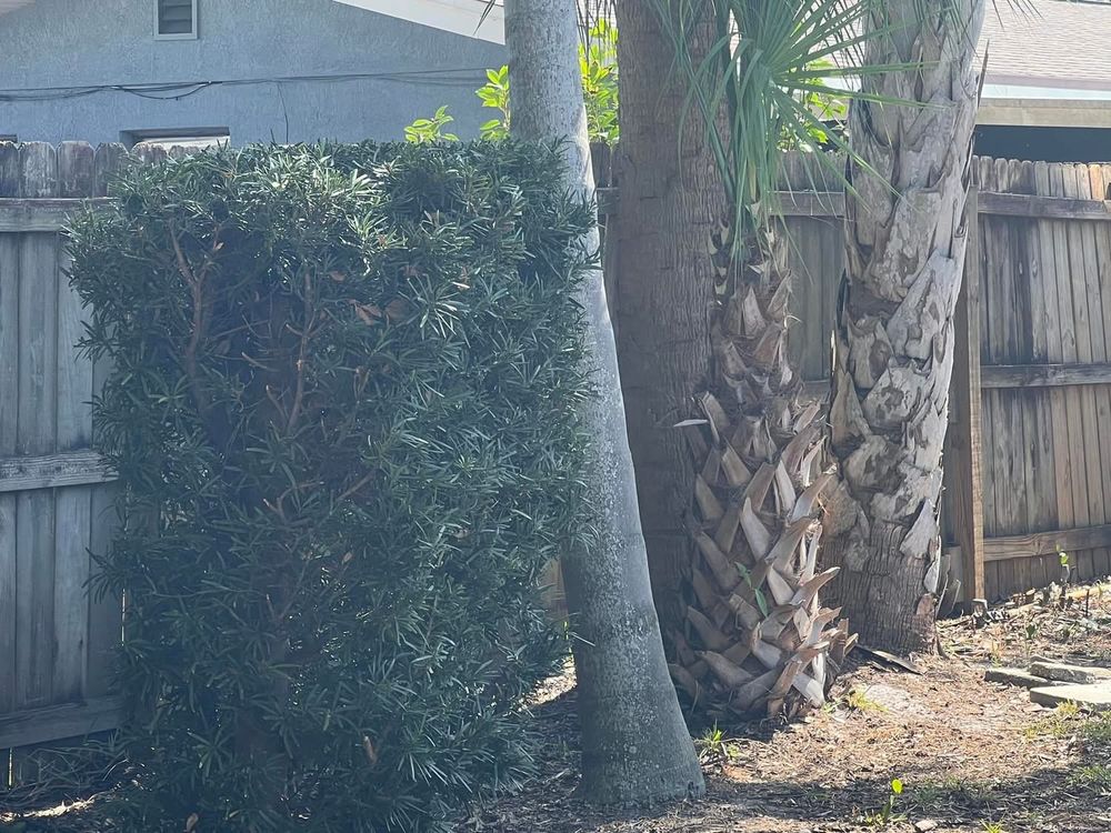All Photos for Space Coast Property Maintenance and Management LLC in Melbourne, FL