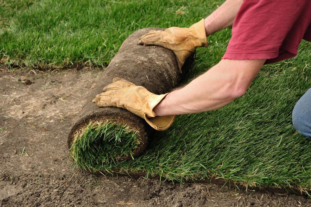 All Photos for Jacks Lawn & Landscape LLC  in Hastings, NE