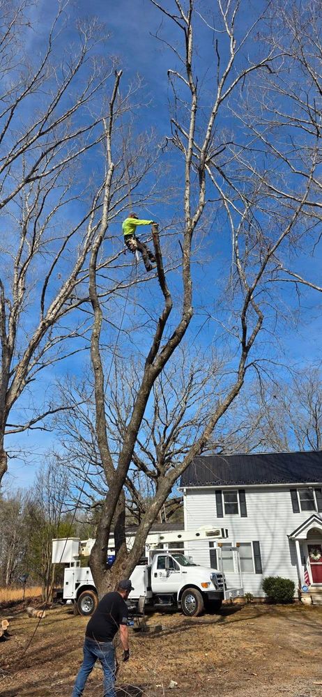 All Photos for Hamlett Tree Service LLC in Clover, VA