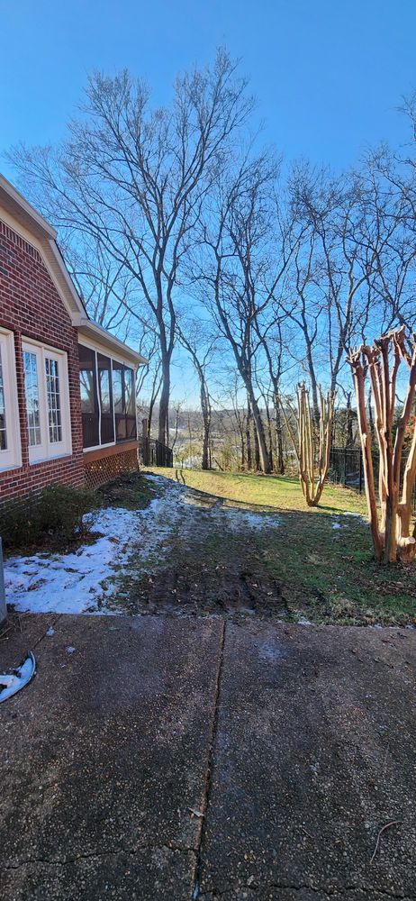 All Photos for Tree Fellers in Sumner County, TN