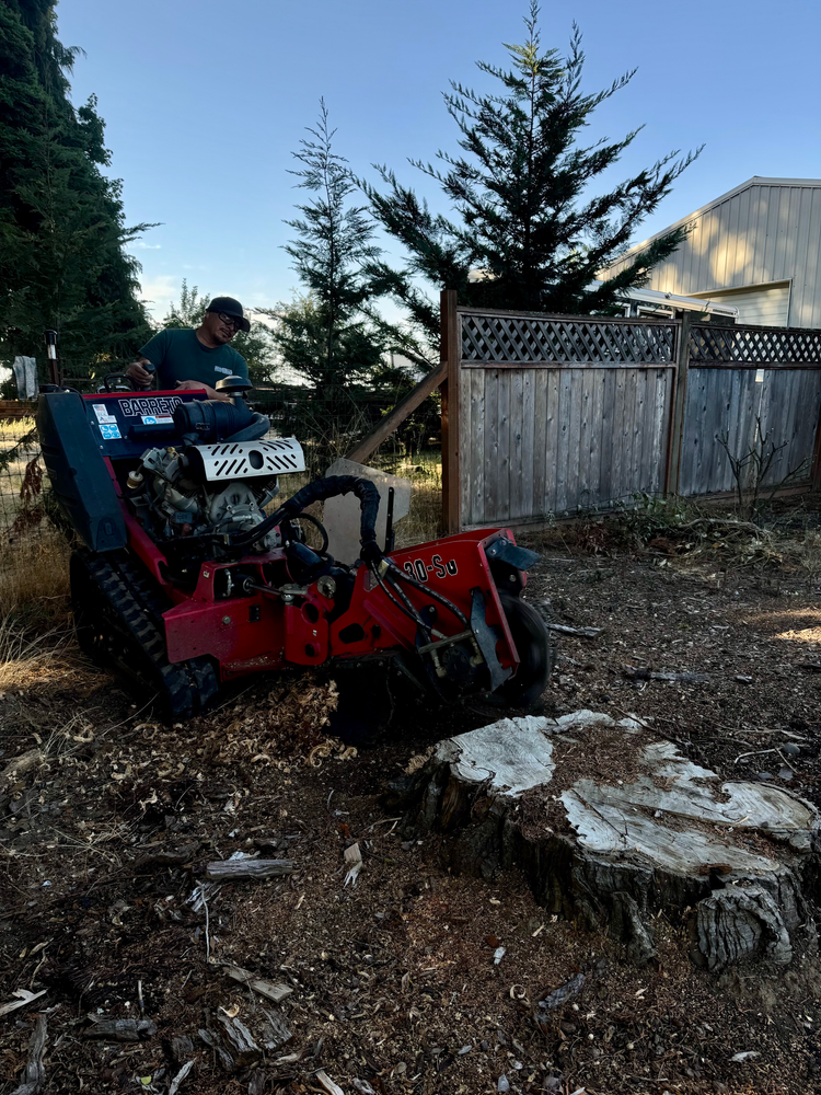 Stump grinding for Willamette Landscaping and Tree Services in Albany, OR