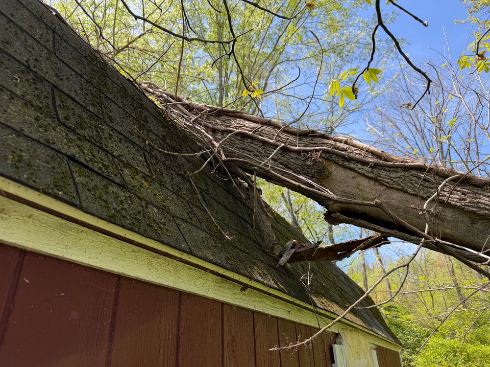 All Photos for Fowler's Tree Service LLC. in New Albany, PA