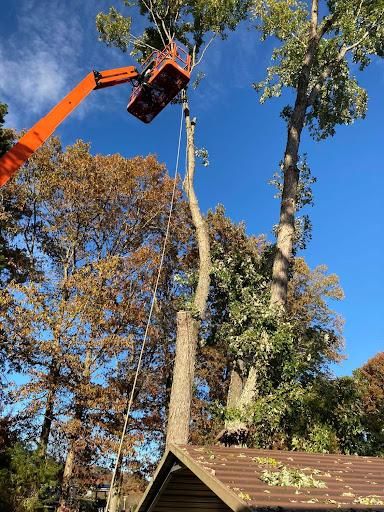 All Photos for Brocks Tree Service LLC in Rogersville, TN