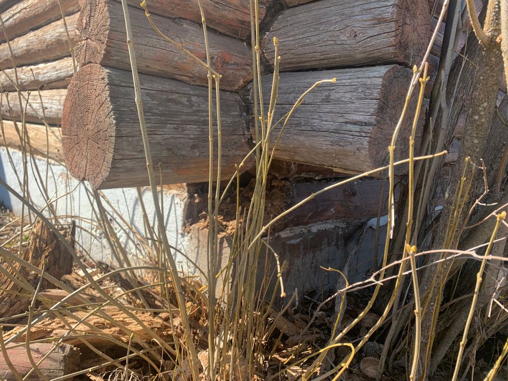 All Photos for Wild West Log home specialists in Corvallis, MT