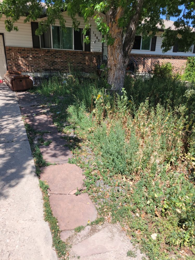 All Photos for JS Landscaping Colorado in Denver, CO