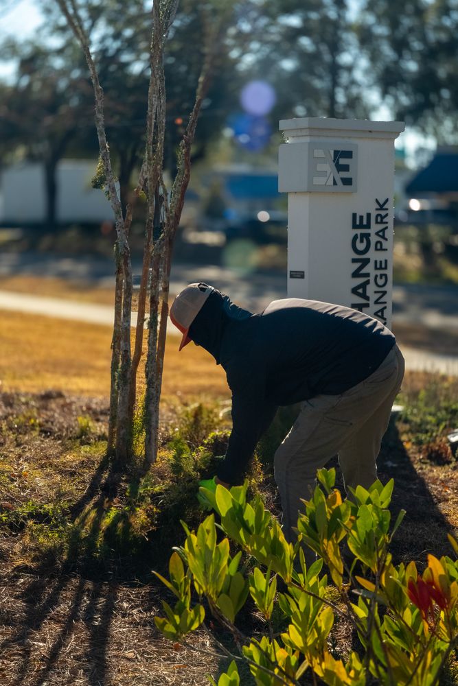 All Photos for Pro Designs Landscaping in Jacksonville, FL