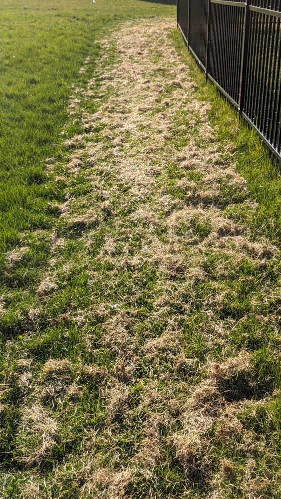 All Photos for TCB Lawn Care & Snow Removal in Sun Prairie, WI