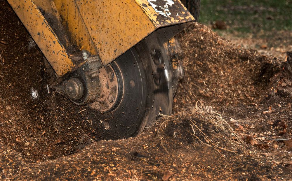 Our Stump Grinding service helps homeowners remove unsightly tree stumps from their property, enhancing the overall appearance and safety of their outdoor space. for A-1 Lawn Care in Lithonia, GA