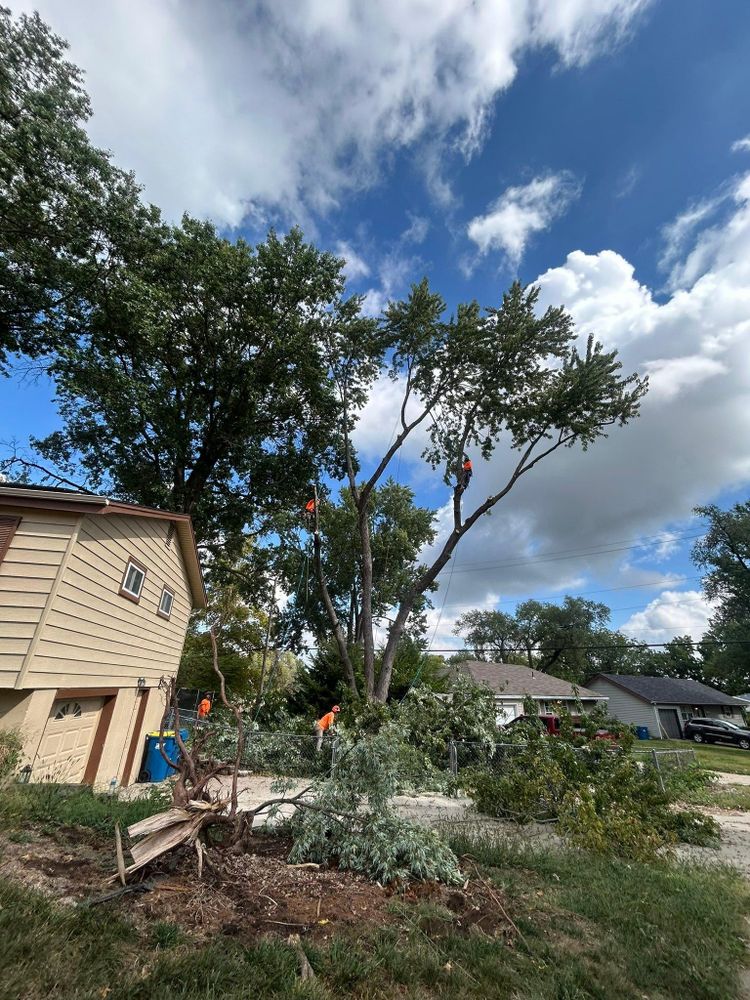 All Photos for Cross Family Tree Service in Kearney, MO