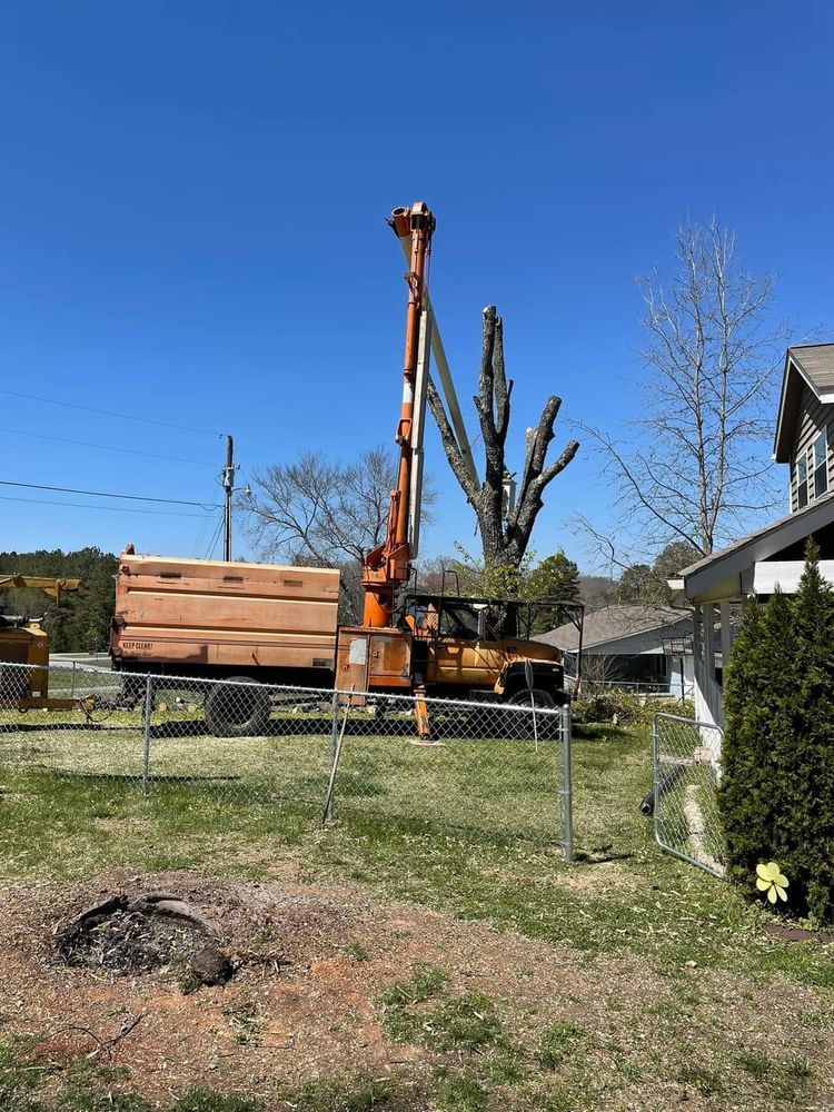 Tree Removal for Scott's Tree Service in Athens, TN