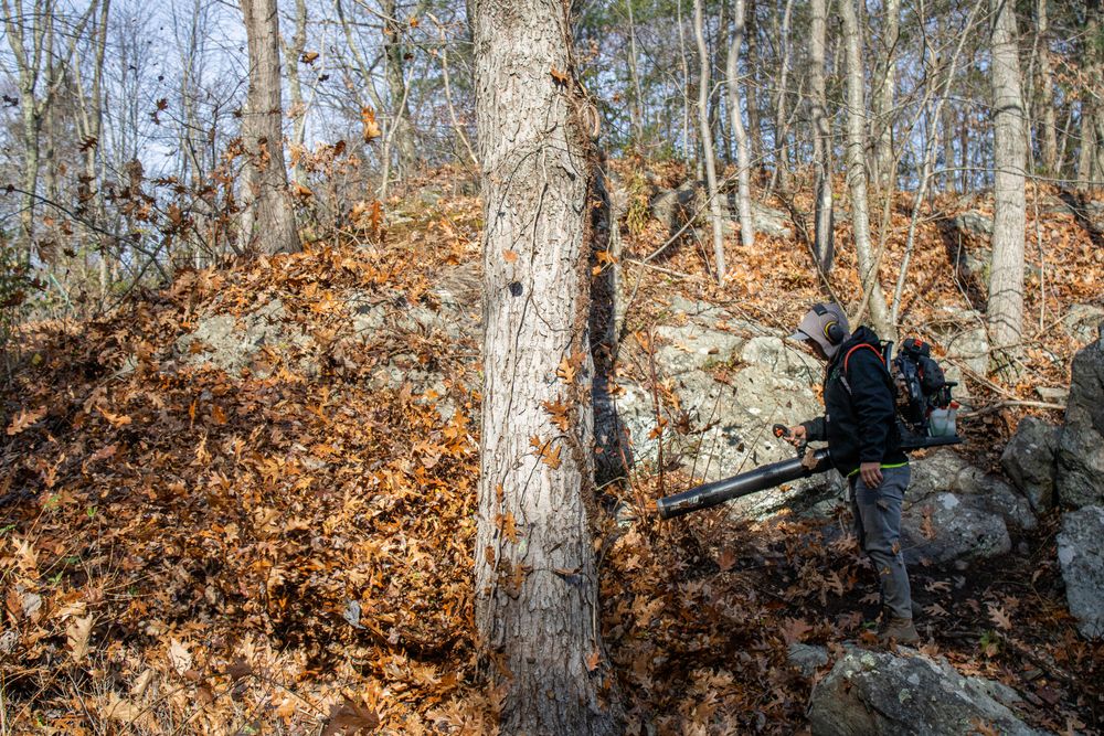 Fall Cleanup for CS Property Maintenance in Middlebury, CT