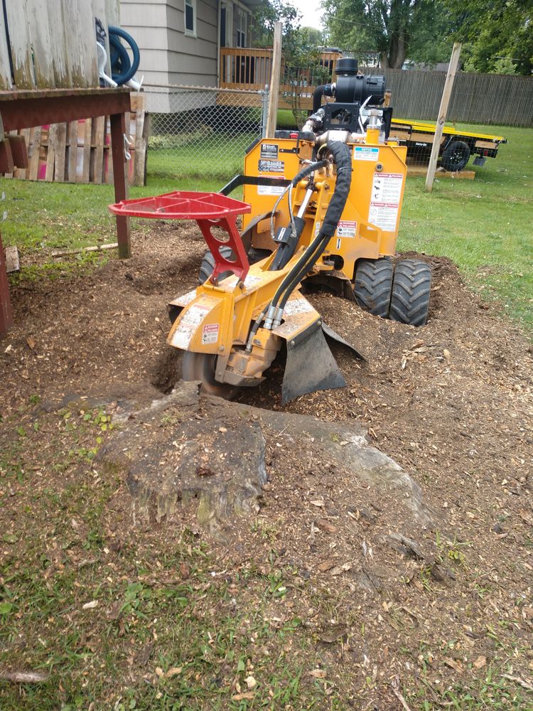 Stump Removal for TH Property Service, LLC in Manlius, NY