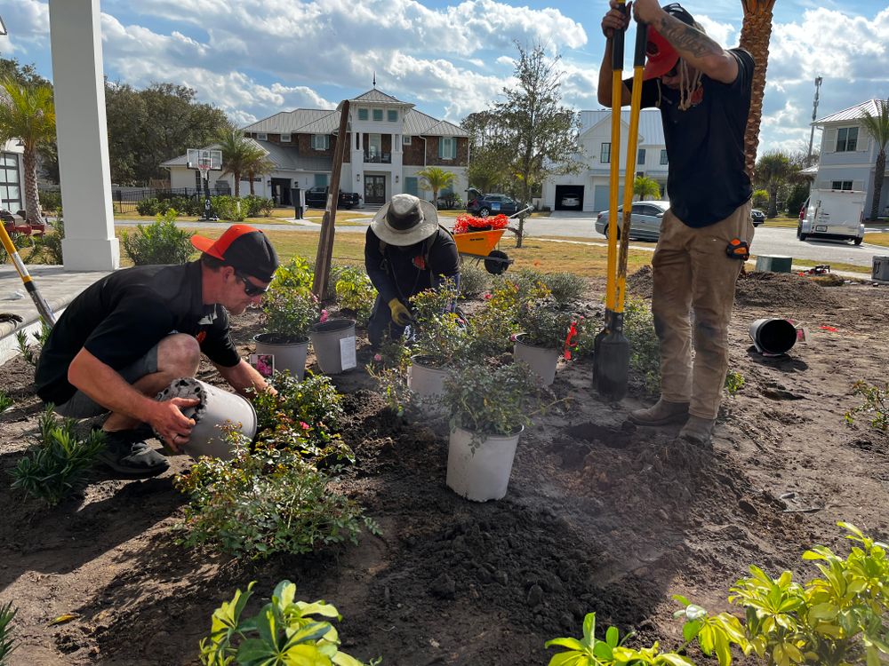 Sawgrass Revamp for Pro Designs Landscaping in Jacksonville, FL