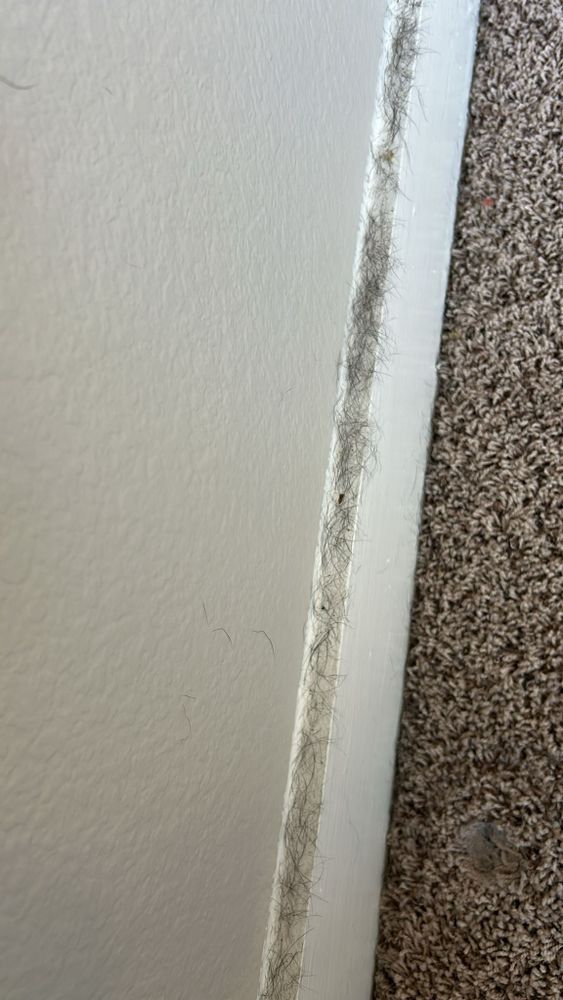 Residential Cleaning for Now Is Clean in Houston, TX