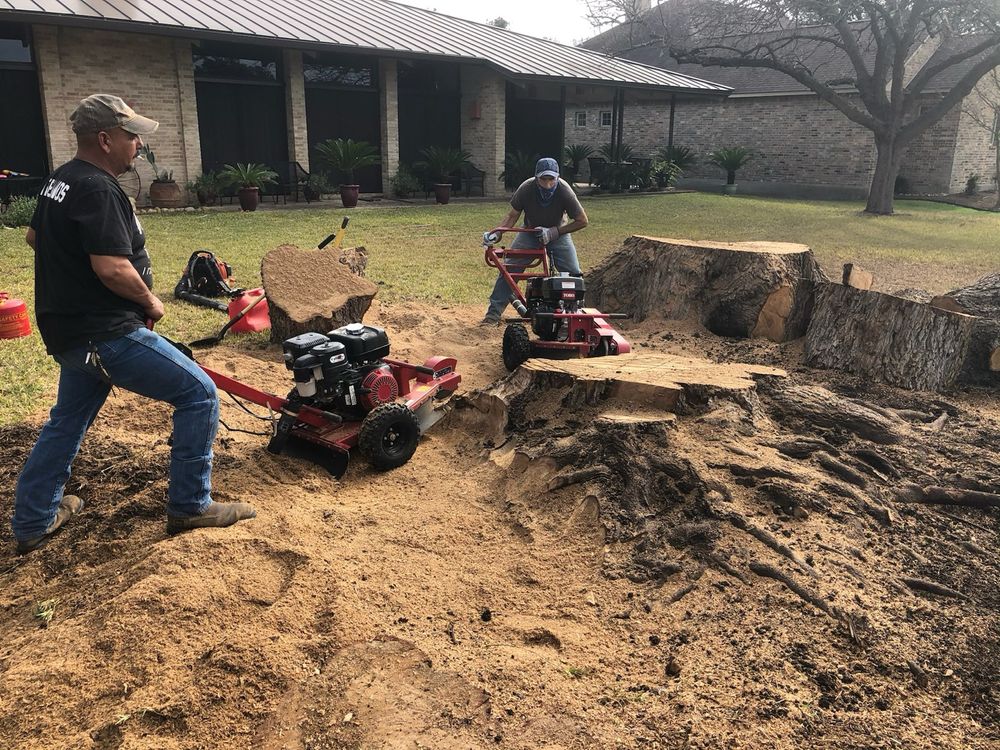 Tree Removal for Neighborhood Lawn Care and Tree Service  in San Antonio, TX