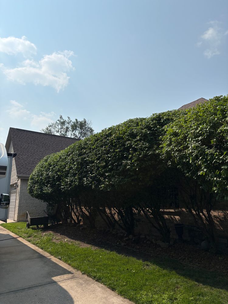 All Photos for From the Ground Up Landscaping & Lawncare in New Lenox, IL