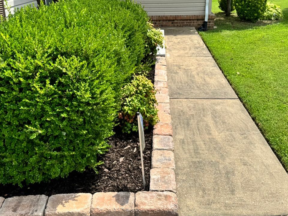 Our Tree & Shrub Care service ensures healthy growth and longevity through expert pruning, disease management, and personalized maintenance plans for strong, beautiful landscape features in your yard year-round. for Apex Lawn & Landscaping INC in Dyersburg, TN