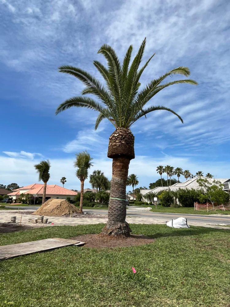 Residential for Cunningham's Lawn & Landscaping LLC in Daytona Beach, Florida