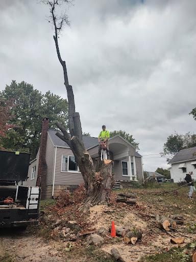 All Photos for Billiter's Tree Service, LLC in Rootstown, Ohio