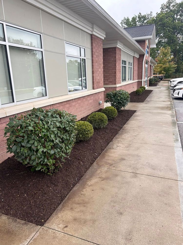 Landscaping for Next Level Outdoor Services in Akron, OH