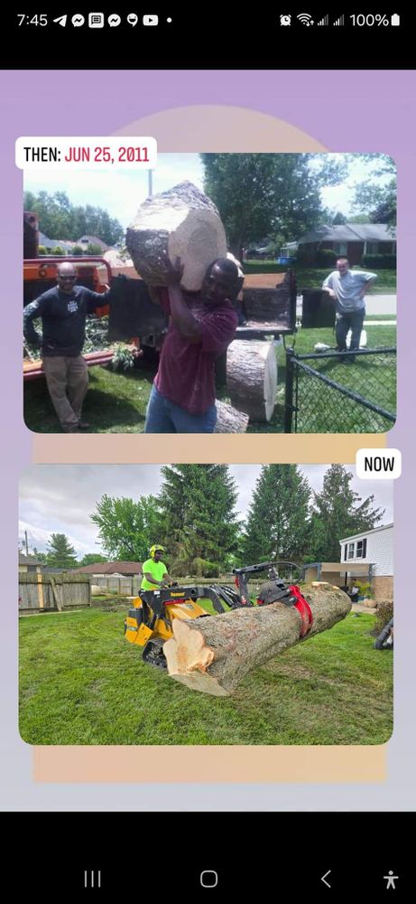 All Photos for F & F Tree Service in Beavercreek, OH