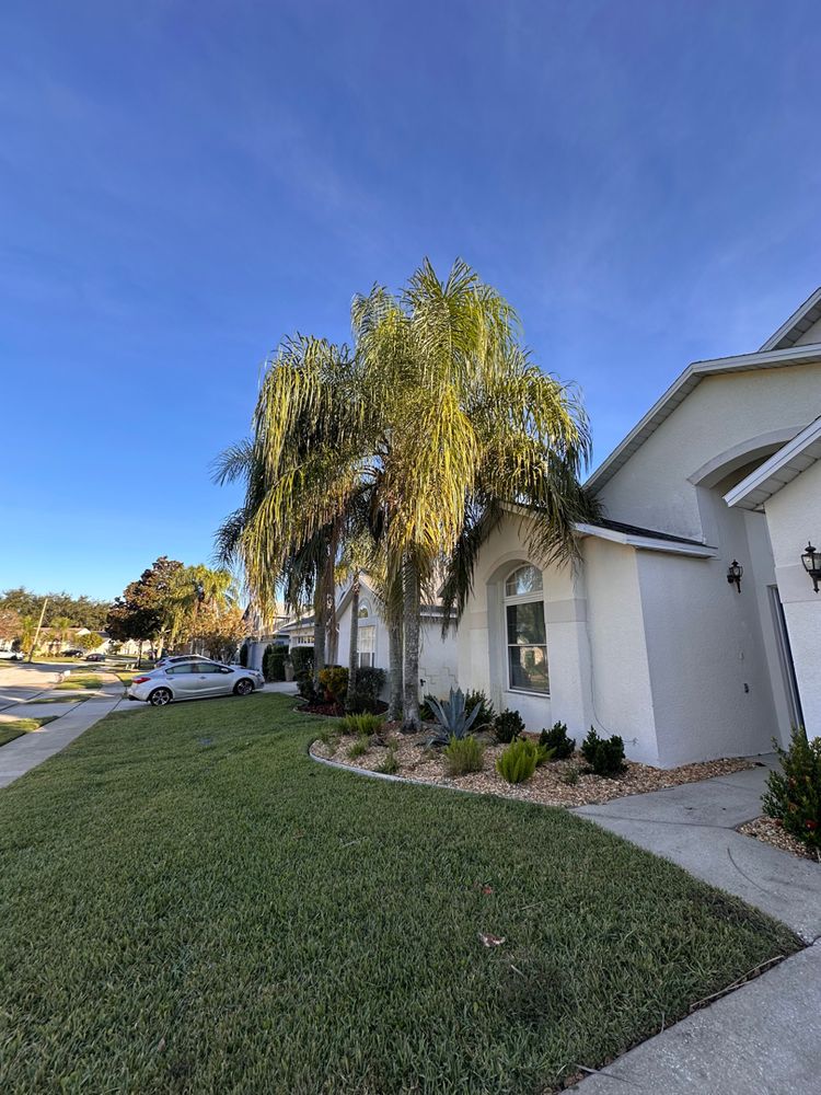 All Photos for Ludlows Services in Clermont, FL