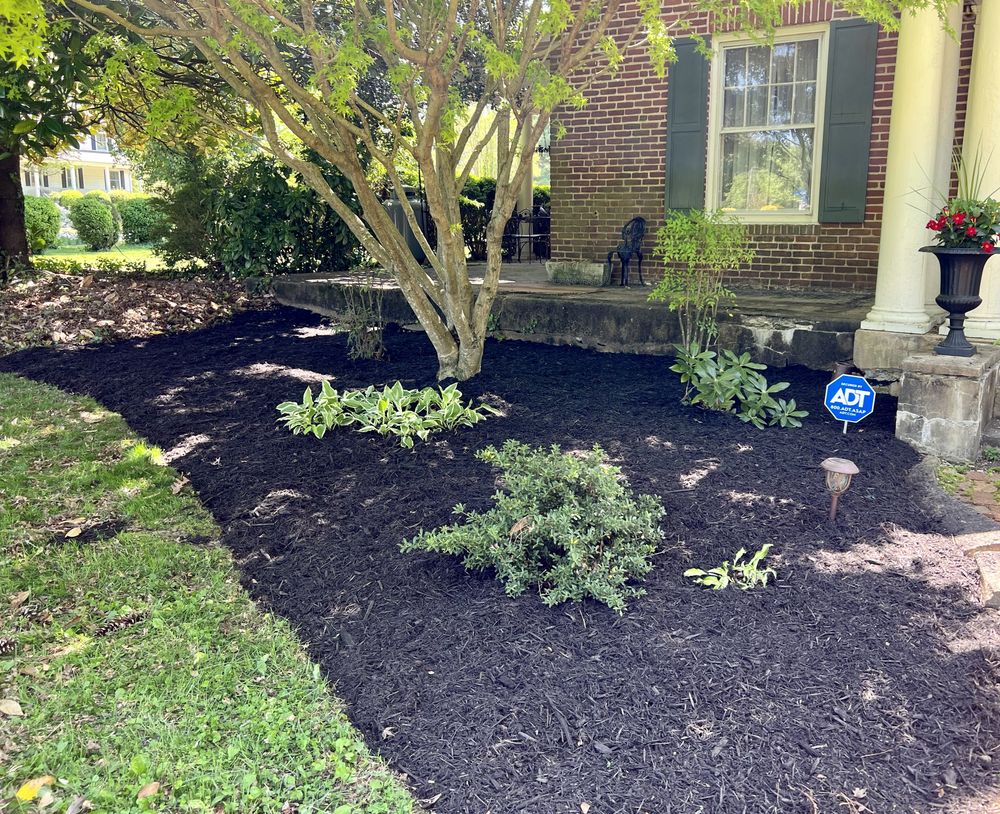 All Photos for Virginia Yard Pros in Appomattox, VA