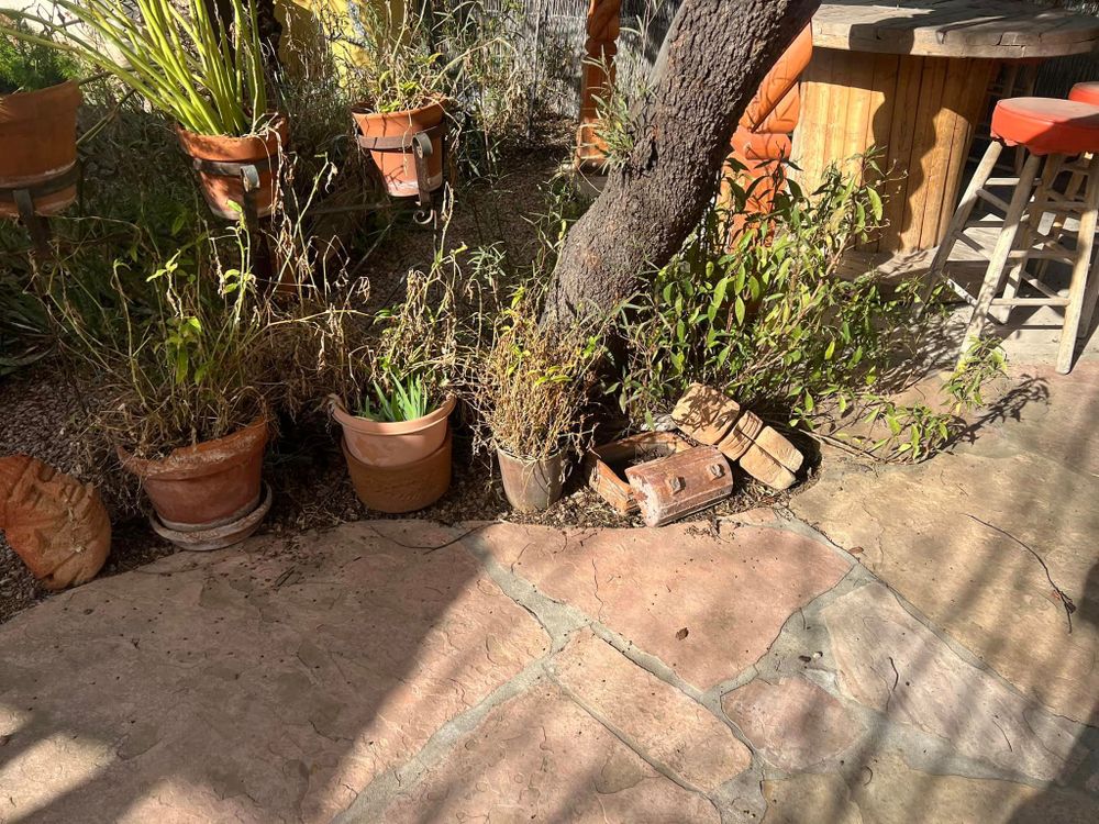 All Photos for Sammy’s Yard Maintenance And Irrigation Repairs in Oracle, AZ