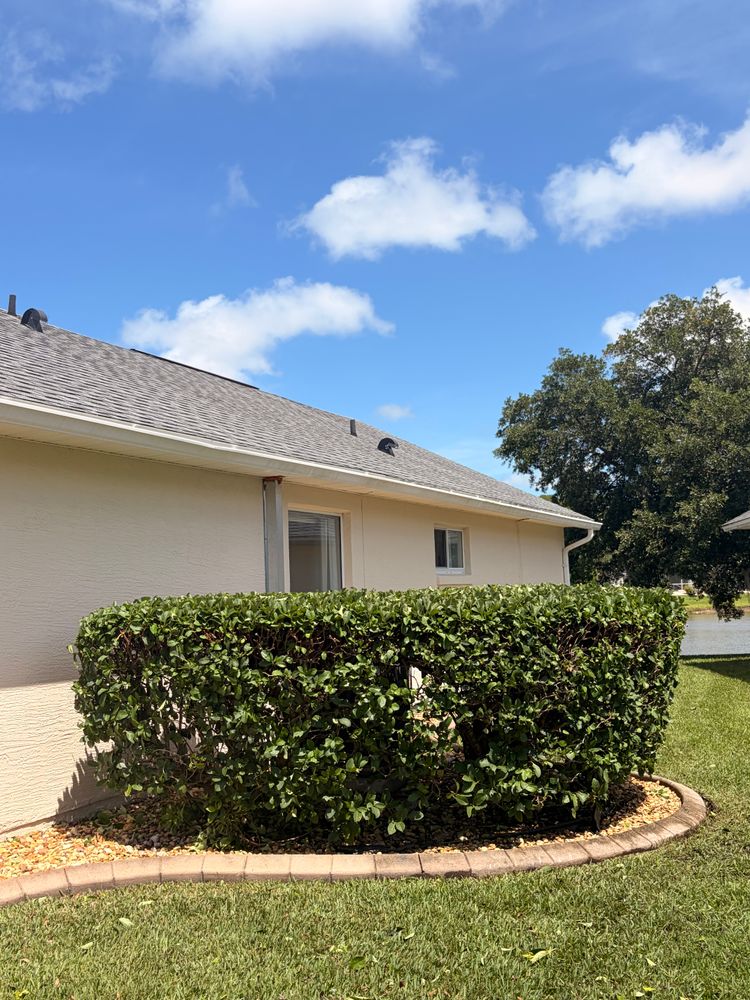 All Photos for Vanic's Landscaping in Port Orange, FL