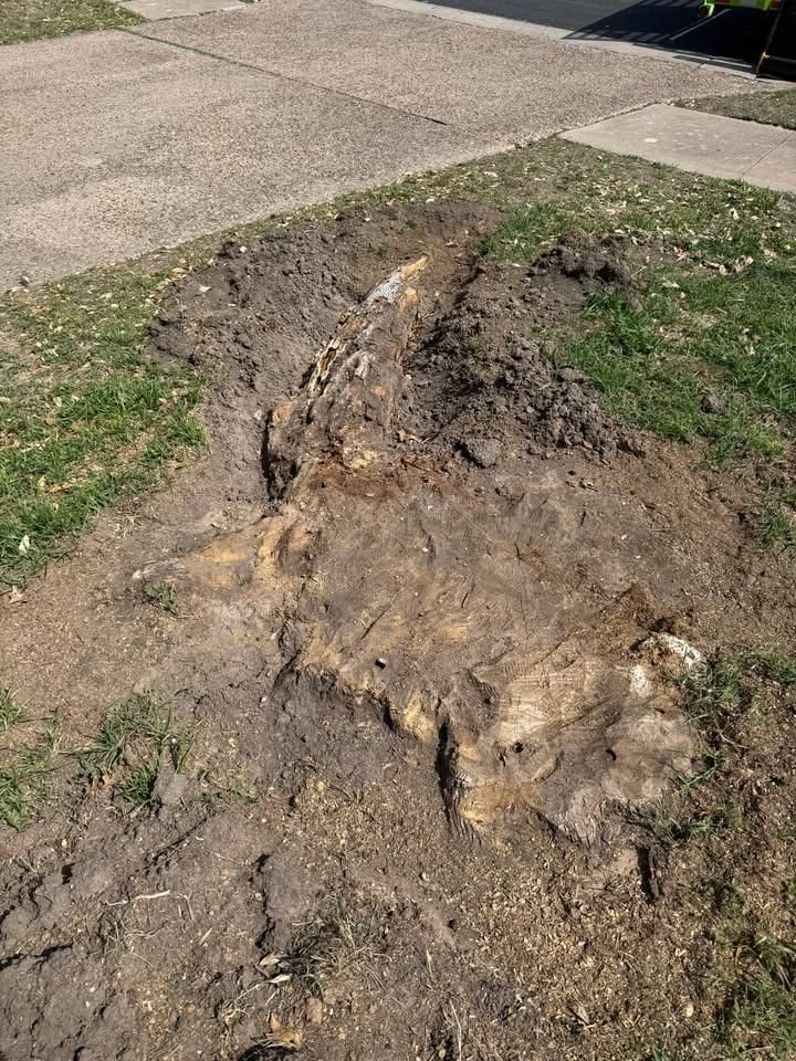 All Photos for Oakley’s Stump ‘N Grind in Leander, TX